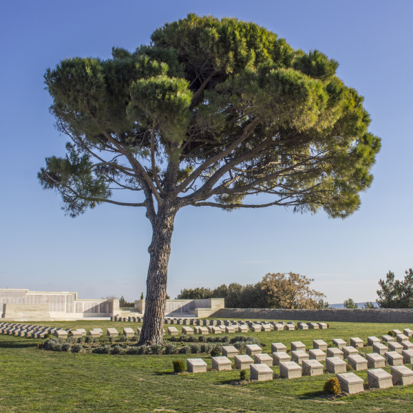 Gallipoli Lone Pine Cemetery